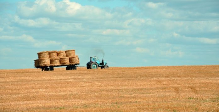 Tracteur d'occasion