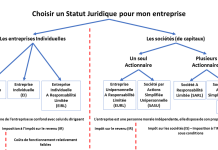 statut juridique